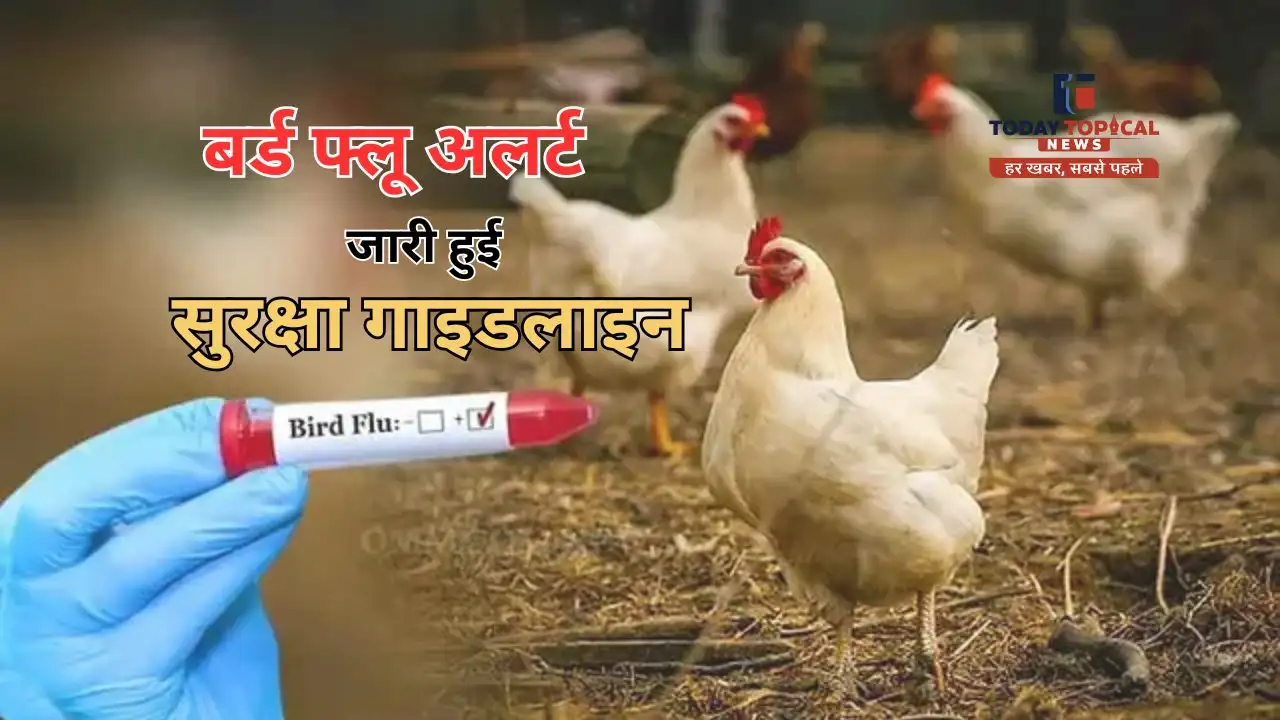 बर्ड फ्लू से बचाव के लिए अपनाएं ये सावधानियां