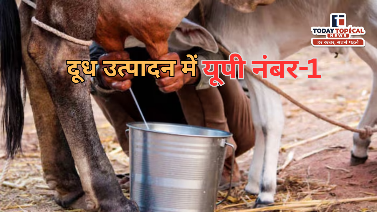दूध उत्पादन में यूपी की बादशाहत