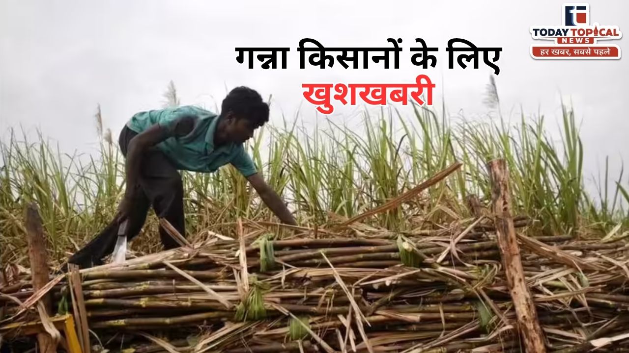 Sugarcane Price Hike: मोदी कैबिनेट का बड़ा फैसला, करोड़ों किसानों को होगा फायदा